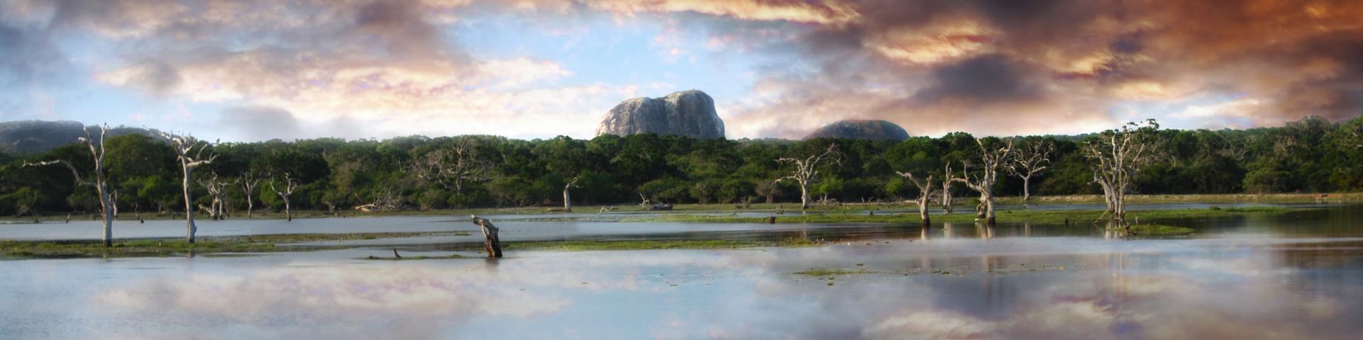 Park Narodowy Yala - safari z Memories Vacations